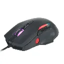 8.webp