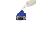 53.webp